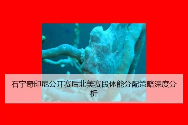 shi-yu-qi-yin-ni-gong-kai-sai-hou-bei-mei-sai-duan-ti-neng-fen-pei-ce-lve-shen-du-fen-xi-2-474.jpg